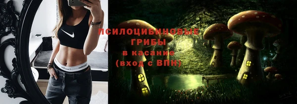 дмт Бородино