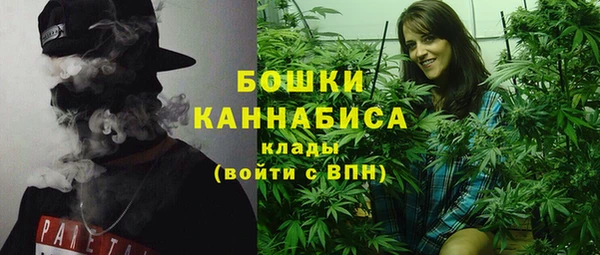 дмт Бородино