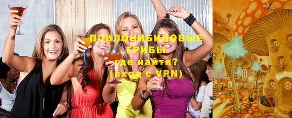 дмт Бородино