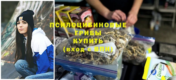 мдма Богородицк