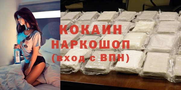 дмт Бородино