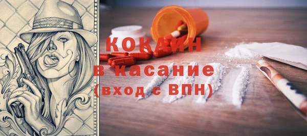 дмт Бородино