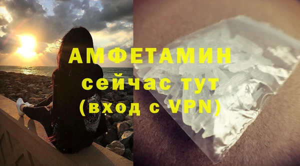 дмт Бородино